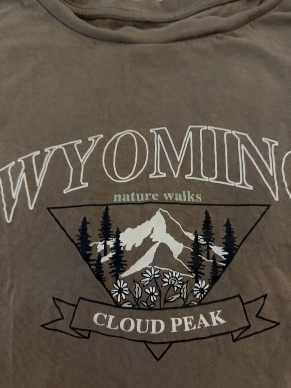 Wyoming Cloud Peak Graphic Tee - Taupe